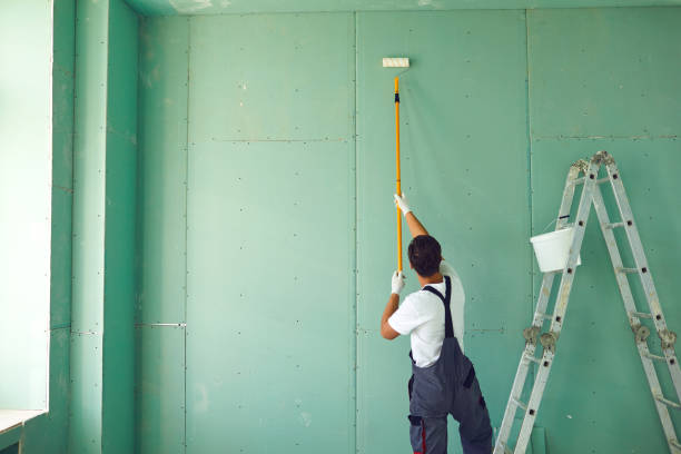 Best Real Estate Mold Inspection  in Ligh, NE