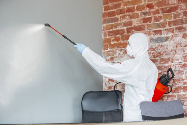 Best Mold Odor Removal Services  in Ligh, NE