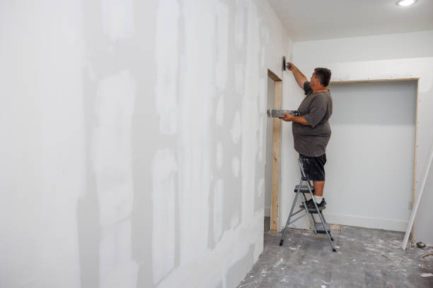 Best Basement Mold Removal  in Ligh, NE