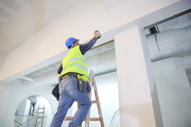 Best Water Damage & Mold Remediation  in Ligh, NE