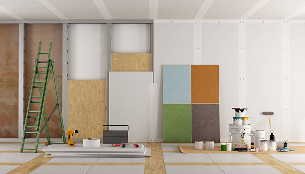 Best Emergency Mold Remediation  in Ligh, NE
