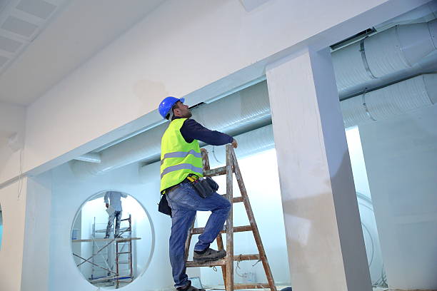 Best Mold Remediation for Healthcare Facilities  in Ligh, NE